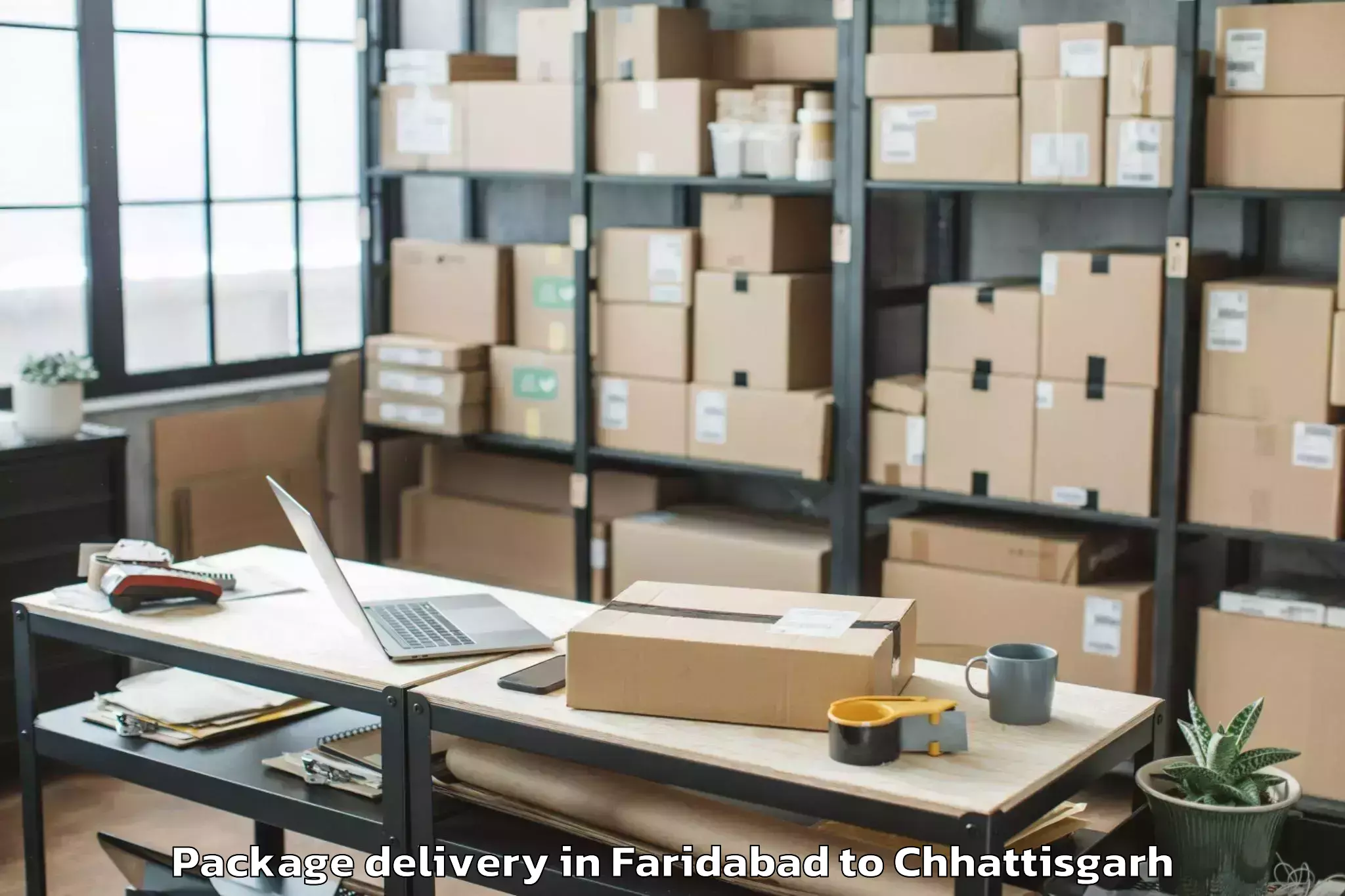 Quality Faridabad to Chakarbhatha Package Delivery